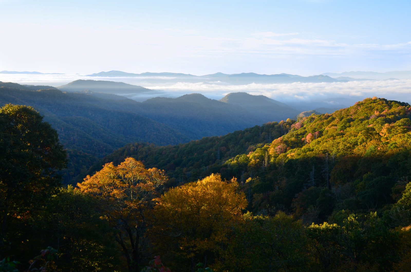 slunečnímu záření, stromy, krajina, les, podzim, listy, hory, kopec, Příroda, nebe, park, mraky, svítání, zelená, žlutý, ráno, mlha, seasons, horizont, národní park, údolí, Nikon, divočina, mount scenérie, mlhavý, plošina, Tennessee, hřbet, změna, světlo, barva, široký úhel, mrak, paprsky, Krásná, strom, národní, mlhavý, podzim, mlha, list, barvy, hora, dosti, Pohled, nadmořská výška, skvělý, zakouřený, sezóna, D7000, barva, barvy, úžasný, jižní, vegetace, národní park, jižní, nádherný, 18200 mm, vr, vysočina, tn, 18200, venkov, horských reliéf, biome, pohoří, stanice hill, smíšený les, klesl, křoviny, 18200mmvr, přehlédnout, greatsmokymountains, greatsmokymountainsnationalpark, sráz, udivující, Easterntennessee