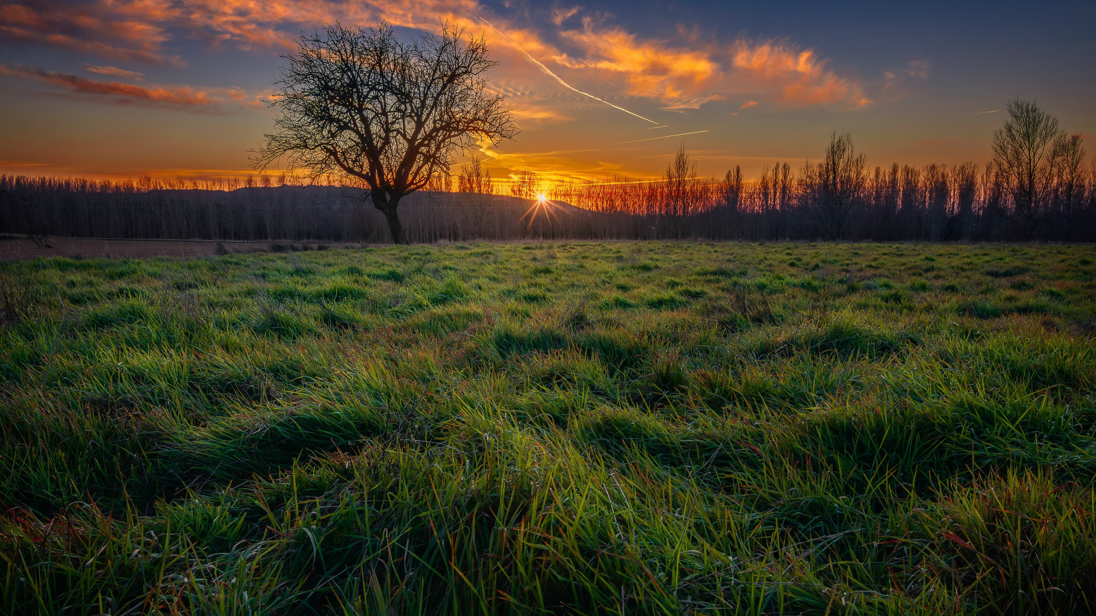 mrak, nebe, atmosféra, rostlina, Natural landscape, strom, dřevo, soumrak, pozemek pozemek, tráva, odlesk, svítání, prostý, západ slunce, lučina, horizont, krajina, louka, les, kupa, slunce, červená obloha v dopoledních hodinách, prérie, pole, svítání, zemědělství, pastvina, Volně žijících živočichů, večer, půda, mokřadní, meteorologický jev, přírodní rezervace, kopec, step, zima, bažina, savana, divoká rostlina, hospodařit, křoviny, People in nature, bažina, stín