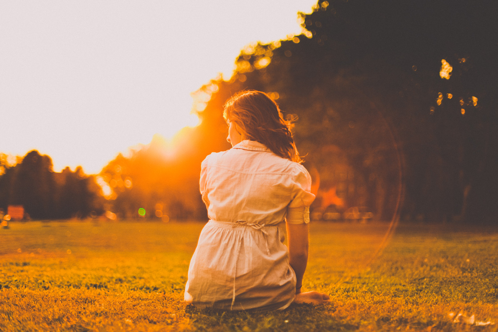 sollys, hvid, solnedgang, brunette, græs, grøn, gul, aften, morgen, flod, Canon, orange, hår, nødblus, bokeh, emotion, romantik, gylden, efterår, 5d, mærke, ii, time, blomst, plante, dOF, charles