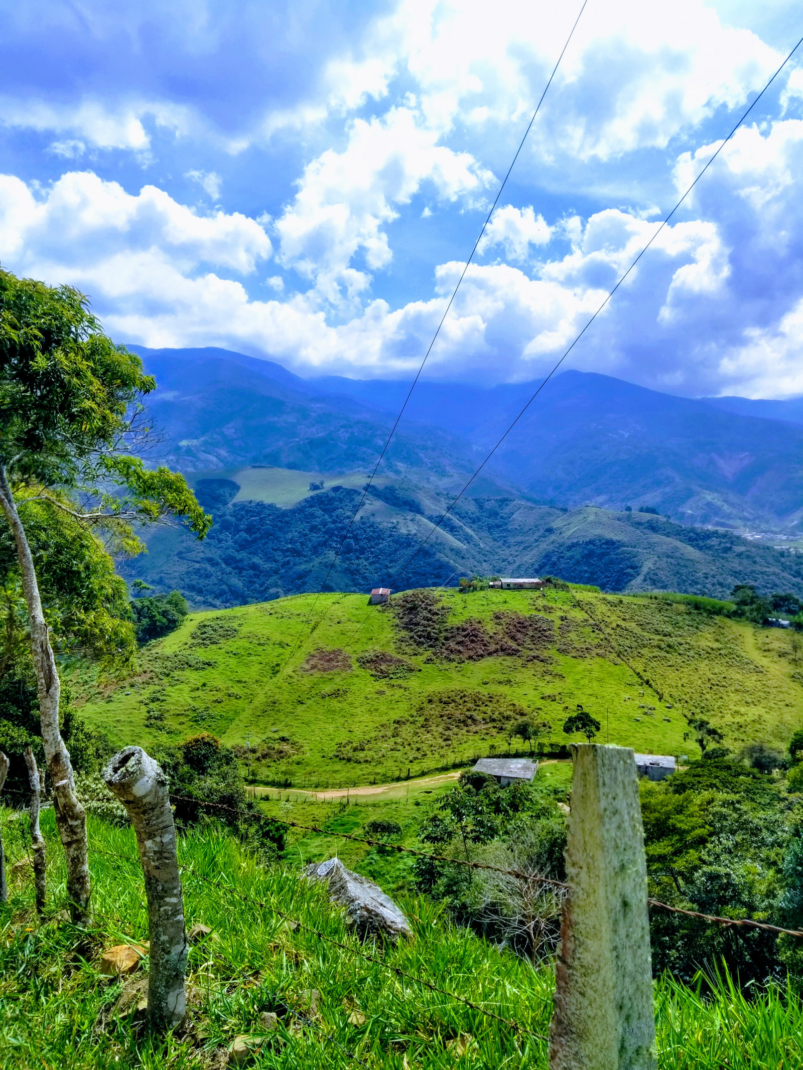 Sky, himmel, plante, bjerg, grøn, økoregion, blå, Natural landscape, highland, træ, terrestrial plant, græsarealer, græs, cumulus, landskab, bjergrige landskabsformer, landdistrikt, bunddække, eng, dal, bakke, bjergkæde, Skov, træ, hill station, græs, plateau, jungle, tempereret løvfældende skov, Massif, faldt, hældning, ryg, plantage, vej, troperne, People in nature, tropical and subtropical coniferous forests, skov, Mark, gamle vækst skov, Chaparral, valdivian temperate rain forest, regnskov, Turisme, Northern hardwood forest, wildflower, sti, sti, prærie, tempererede nåleskove