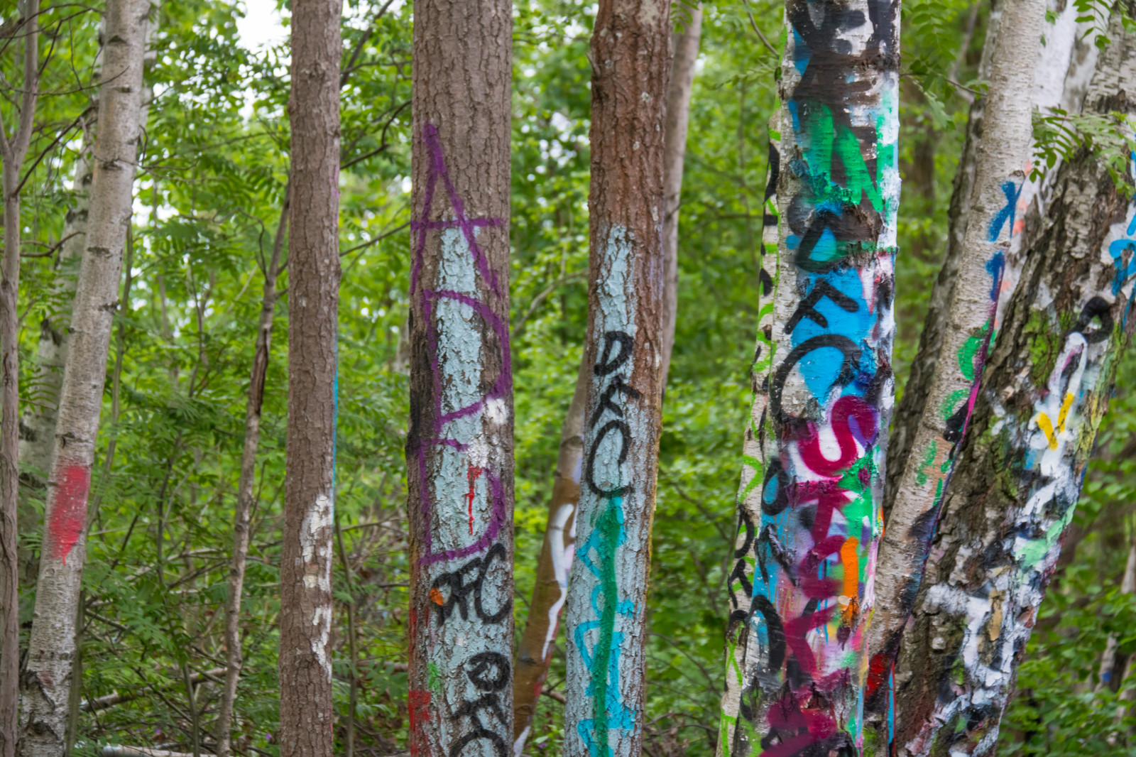 les, sochařství, Stockholm, bříza, UMĚNÍ, strom, květ, rostlina, graffiti, stezka, attackfoto, attackfoto7, r gsved, SN s trav gen, zálesí, místo výskytu, suchozemská rostlina, kvetoucí rostlina, dřevina, kufr, outdoor struktura, totem