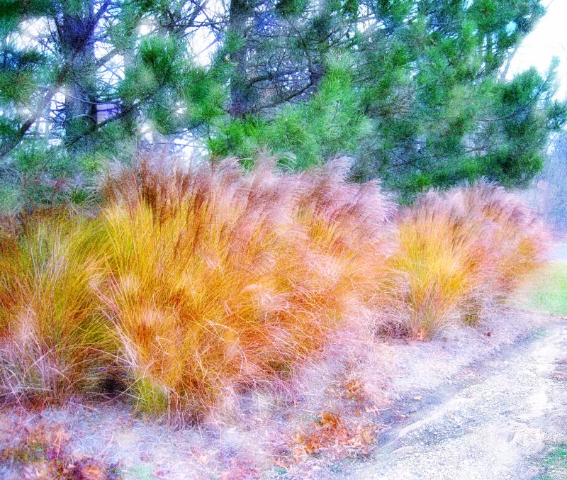 photomanipulation, digitální umění, PhotoArt, Digitálně vyvážené, Digitalmagic, Bethrosengard photomanipulation, digitální umění, PhotoArt, Digitálně vyvážené, Digitalmagic, Bethrosengard