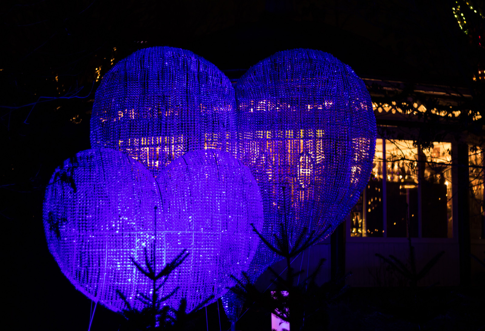 noc, srdce, odraz, modrý, večer, Vánoce, Vánoční osvětlení, Dánsko, světlo, Vánoce, osvětlení, hj RTA, července, Danmark, nightphotography, Tivoli, tvar, Natt, exif modelu canoneos760d, geocountry, Kamera aby kánon, geocity, Model fotoaparátu canoneos760d, geostate, geolocation, exif aby kánon, EXIF isospeed 320, exif focallength 50mm, EXIF ef50mmf18stm čočka, EXIF otvor 20, tma, kopenhavn, k penhamncopenhagen