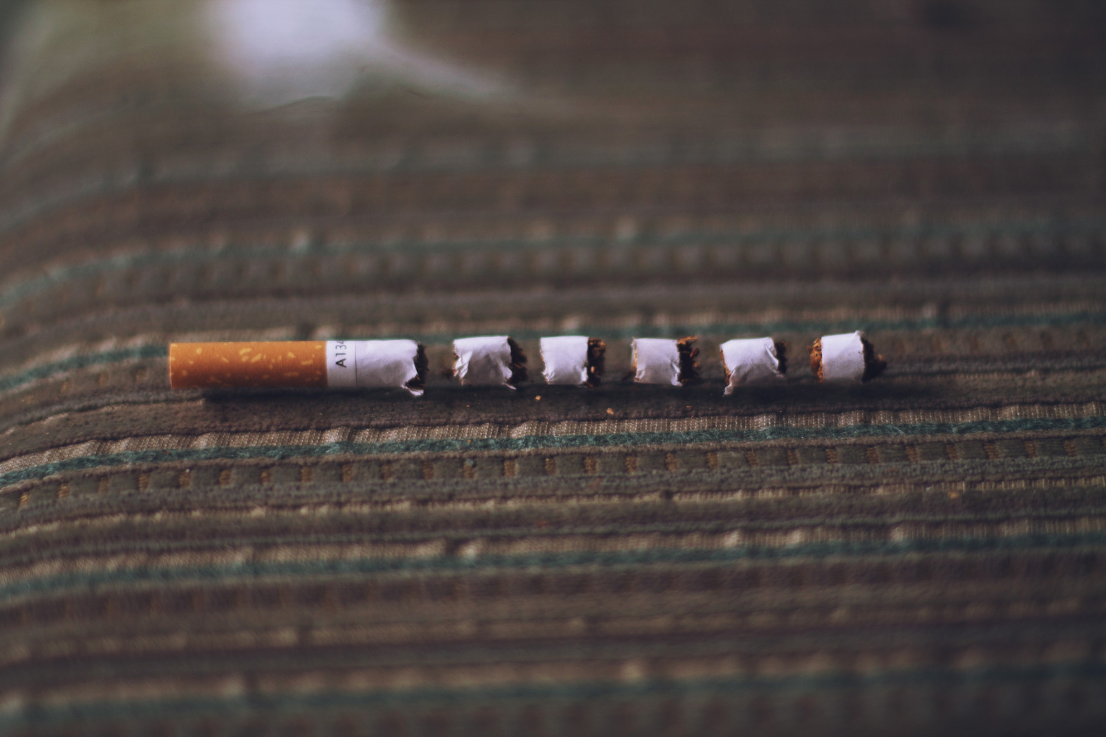 makro fotografie, dřevo, materiál