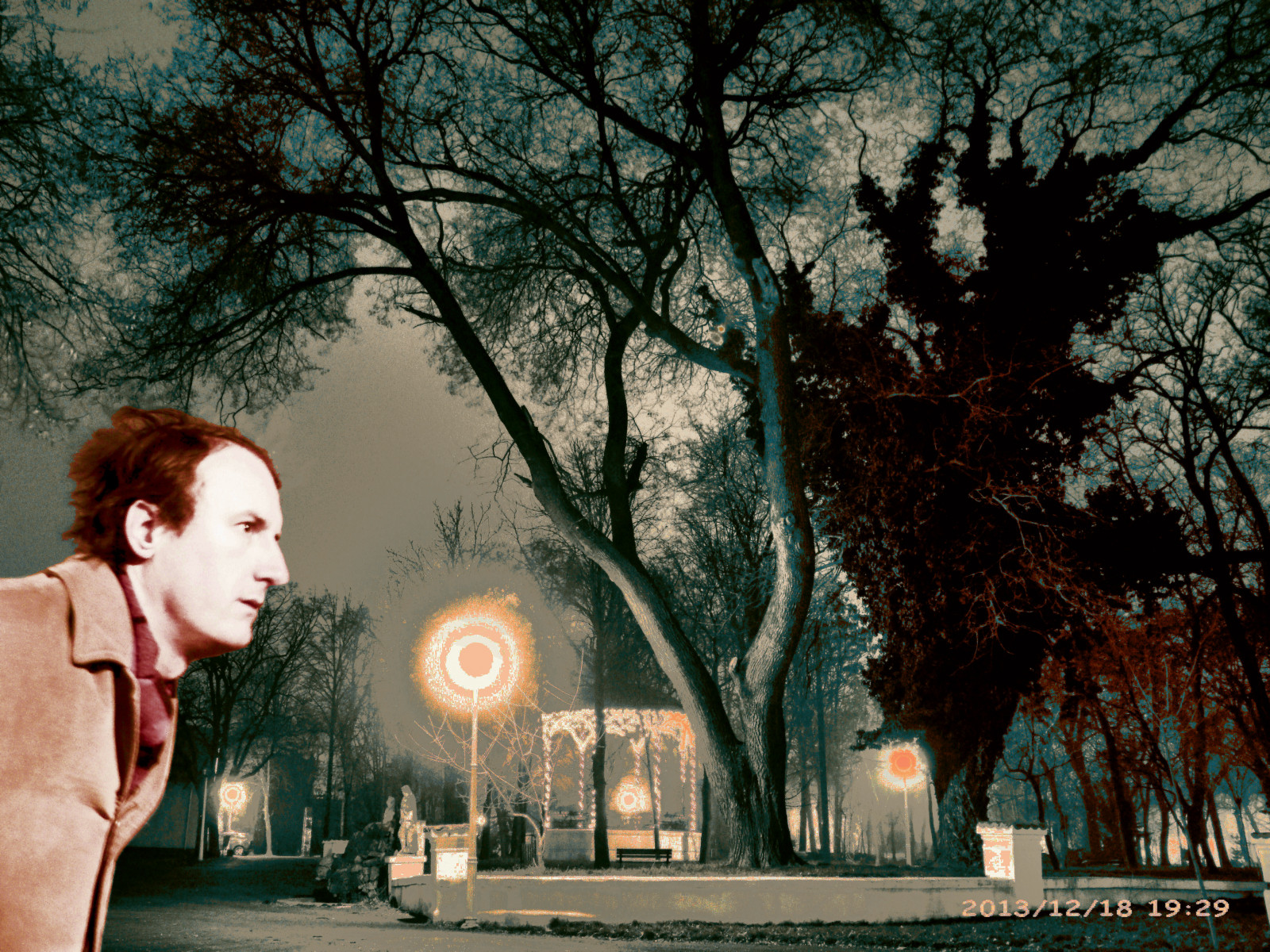 Wallpaper trees, garden, night, nature, sky, photography, branch