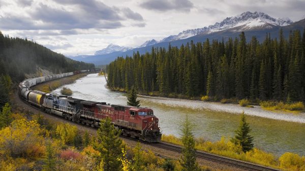 Banff National Park,train,locomotive,nature,trees