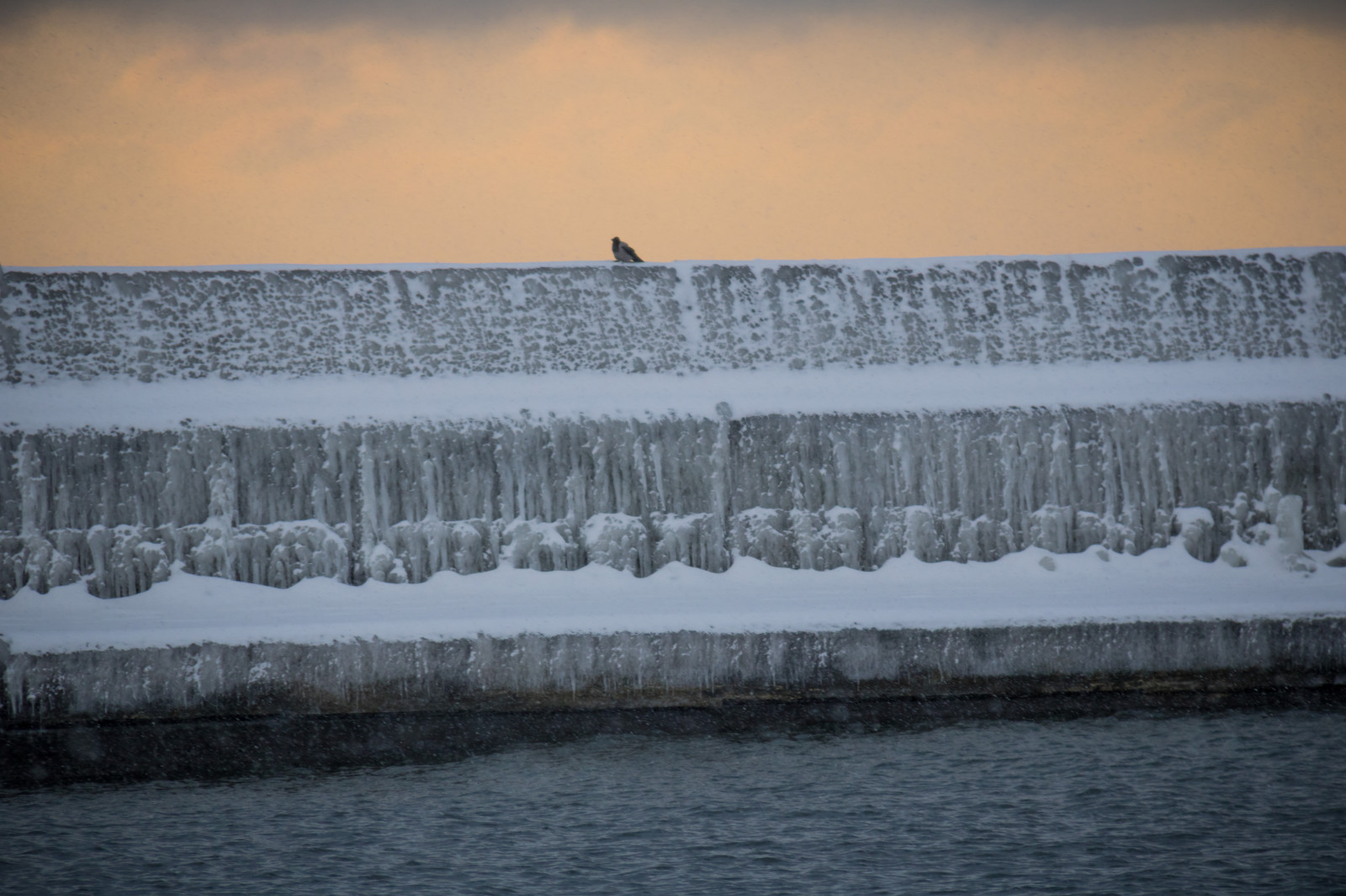 mare, lago, acqua, riflessione, la neve, inverno, ghiaccio, freddo, mattina, nebbia, artico, Congelamento, tempo metereologico, è, stagione, onda, SN, vatten, Vinter, HAV, Smygehuk, kallt, fenomeno atmosferico