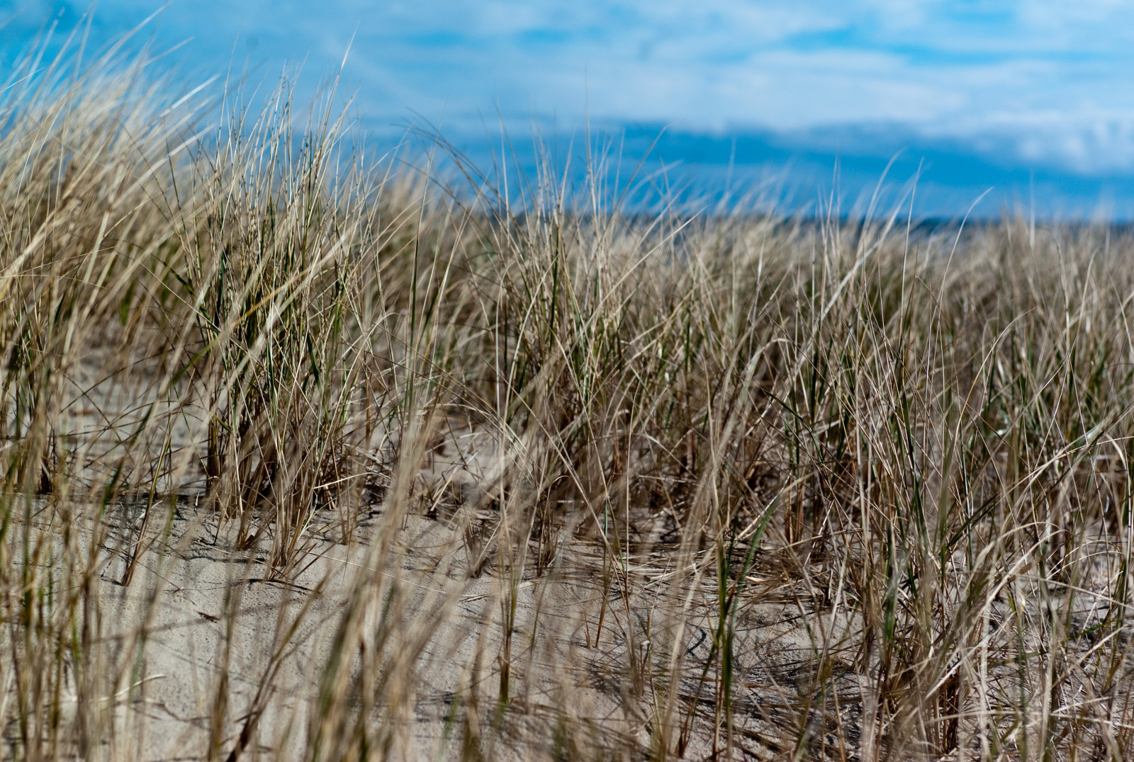 Leica, moře, nebe, pláž, Příroda, pramen, Německo, ostrov, deutschland, 50mm, písek, dof, bokeh, duna, natur, nebe, baltský, Insel, Summicron, m8, gras, Rugen, Ostsee, ruegen, lido, Přední Pomořansko, Pommern, Vorpommern, Nordstrand, Meklenbursko-Přední Pomořansko, Graser, M nchgut, G hren, Mecklenburgwestern
