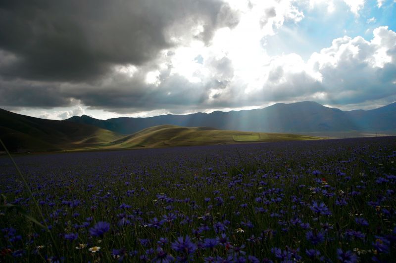 landscape, hill, nature, grass, sunlight, sunset landscape, hill, nature, grass, sunlight, sunset