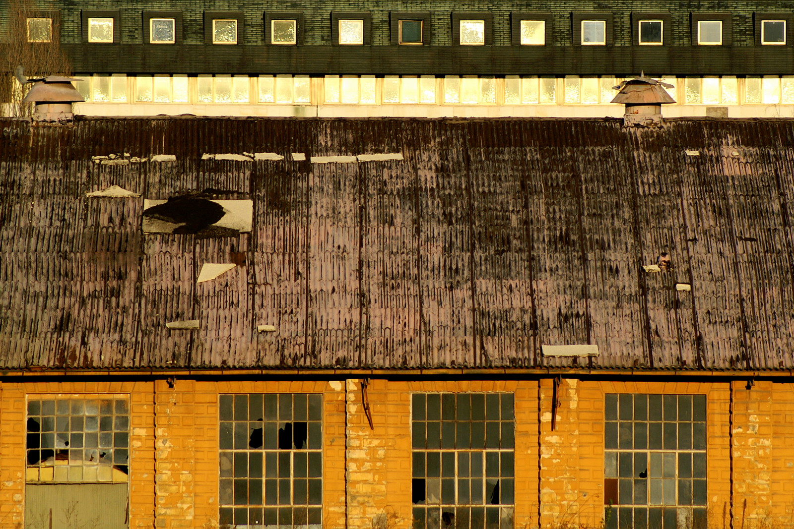 růžový, Okna, opuštěný, zlomený, čáry, žlutý, budovy, odrazy, rez, čtverce, vzory, střechy, textury, opakování, dSLR, 75300, Zachránil bydmou, thechallengefactory