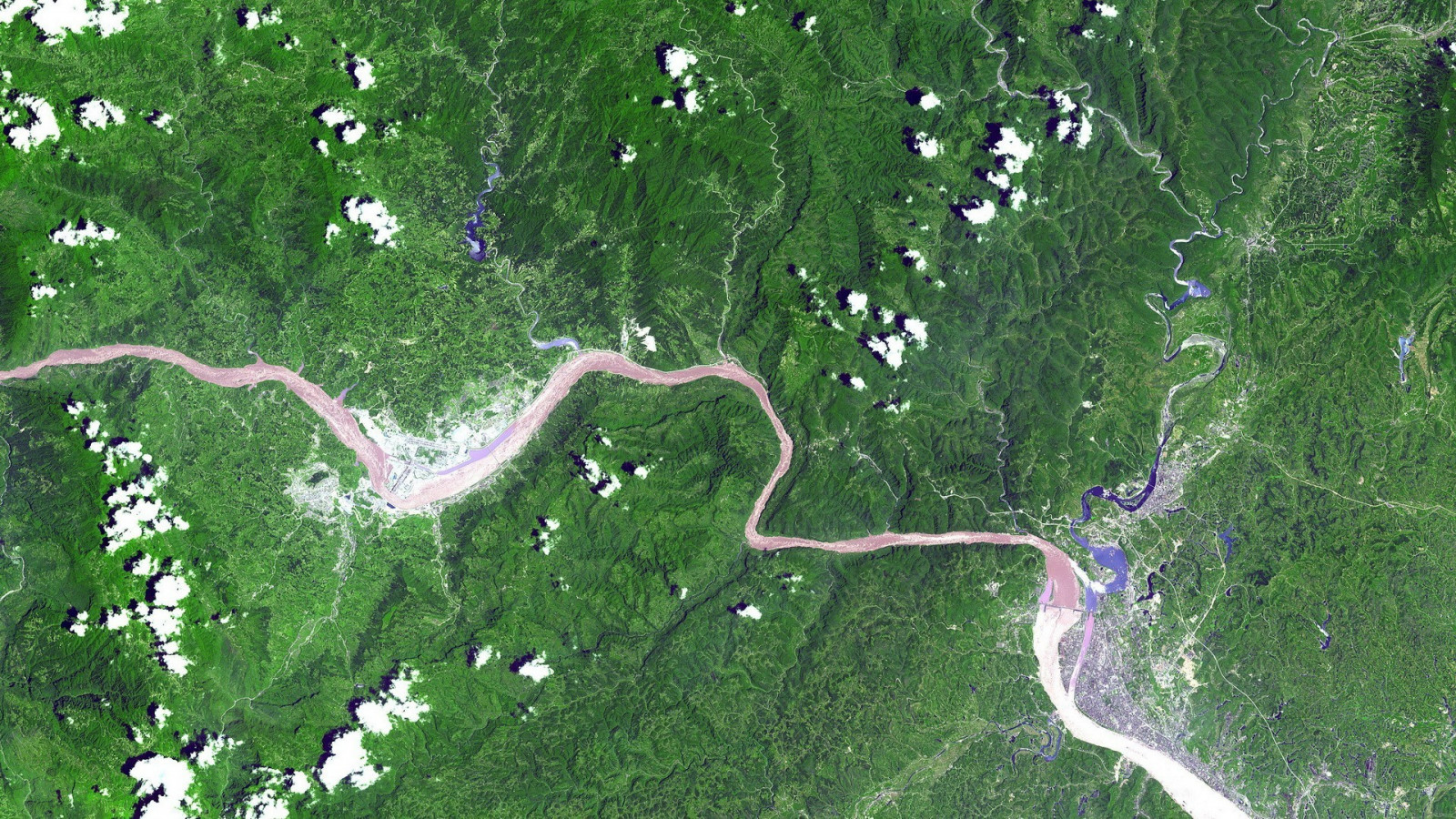 řeka, letecký pohled, mokřadní, strom, místo výskytu, letecké snímkování, ekosystém