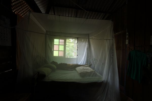 city, Asia, Asian, house, room, green