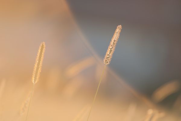 world,life,light,sunset,Italy,Sun