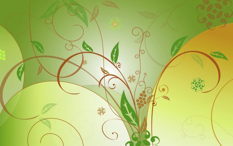 leaves, illustration, branch, green, drawing, grass leaves, illustration, branch, green, drawing, grass