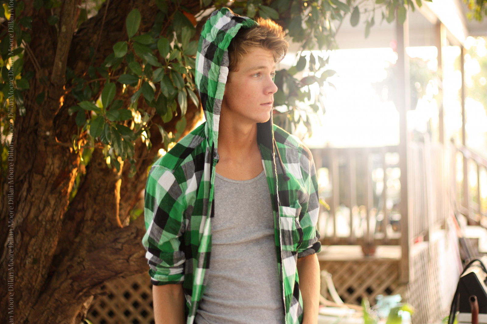 západ slunce, zelená, žlutý, kapuce, vzor, slunce, spád, bokeh, přehoz, dovolená, Soustředit se, strom, zlatý, list, hodina, záře, rostlina, dívka, pokrývka hlavy, decodingdillan