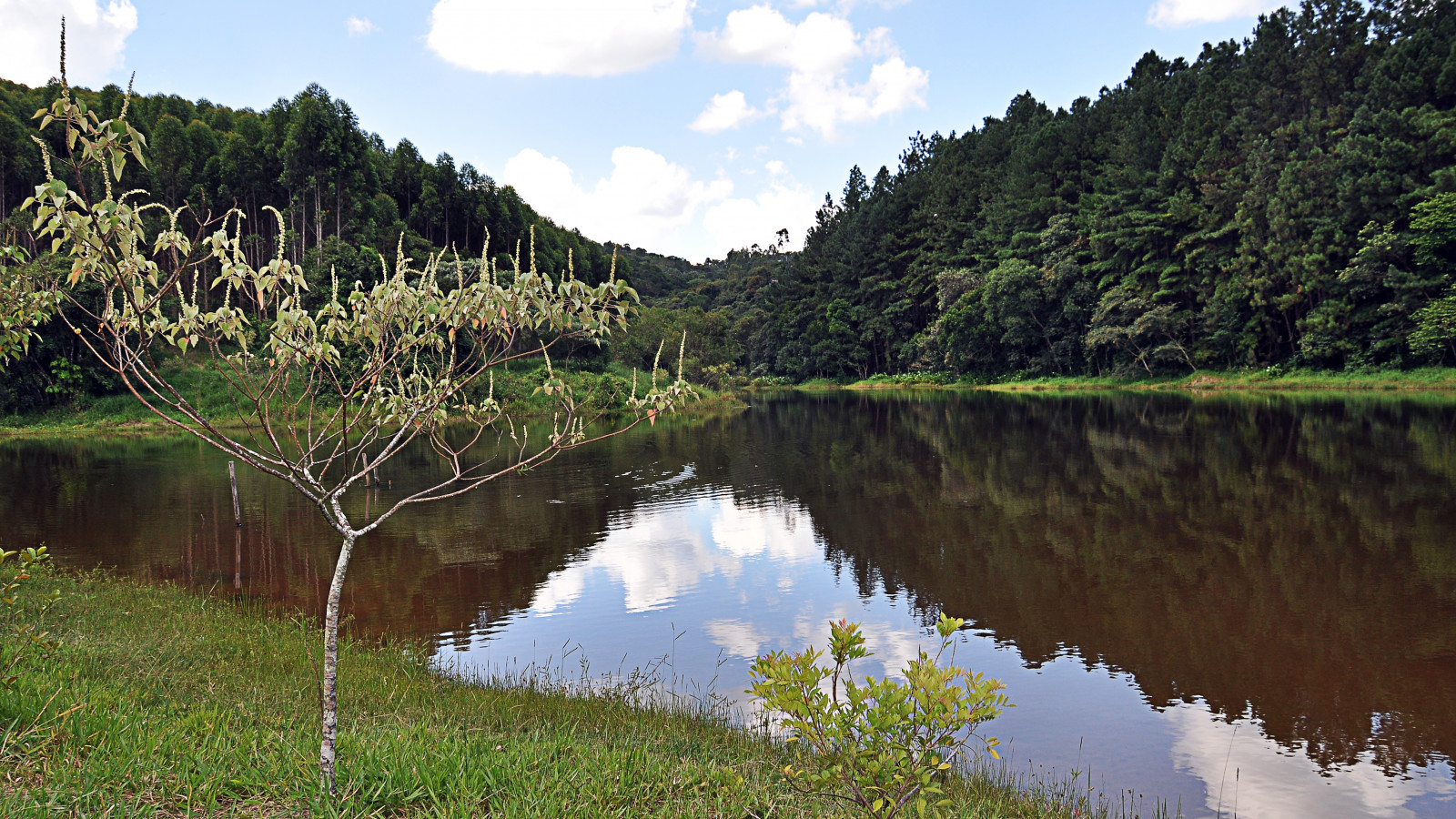 odraz, Příroda, přírodní rezervace, divočina, voda, jezero, vegetace, ekosystém, vodní zdroje, pleso, nádrž, jezero, nebe, mokřadní, banka, strom, řeka, hora, mount scenérie, rybník, biome, stanice hill, riparian zone, krajina, vodní tok, les, národní park, lužní les, bažina, plant community, tropical and subtropical coniferous forests, kopec, lacustrine plain, zátoka, lužní