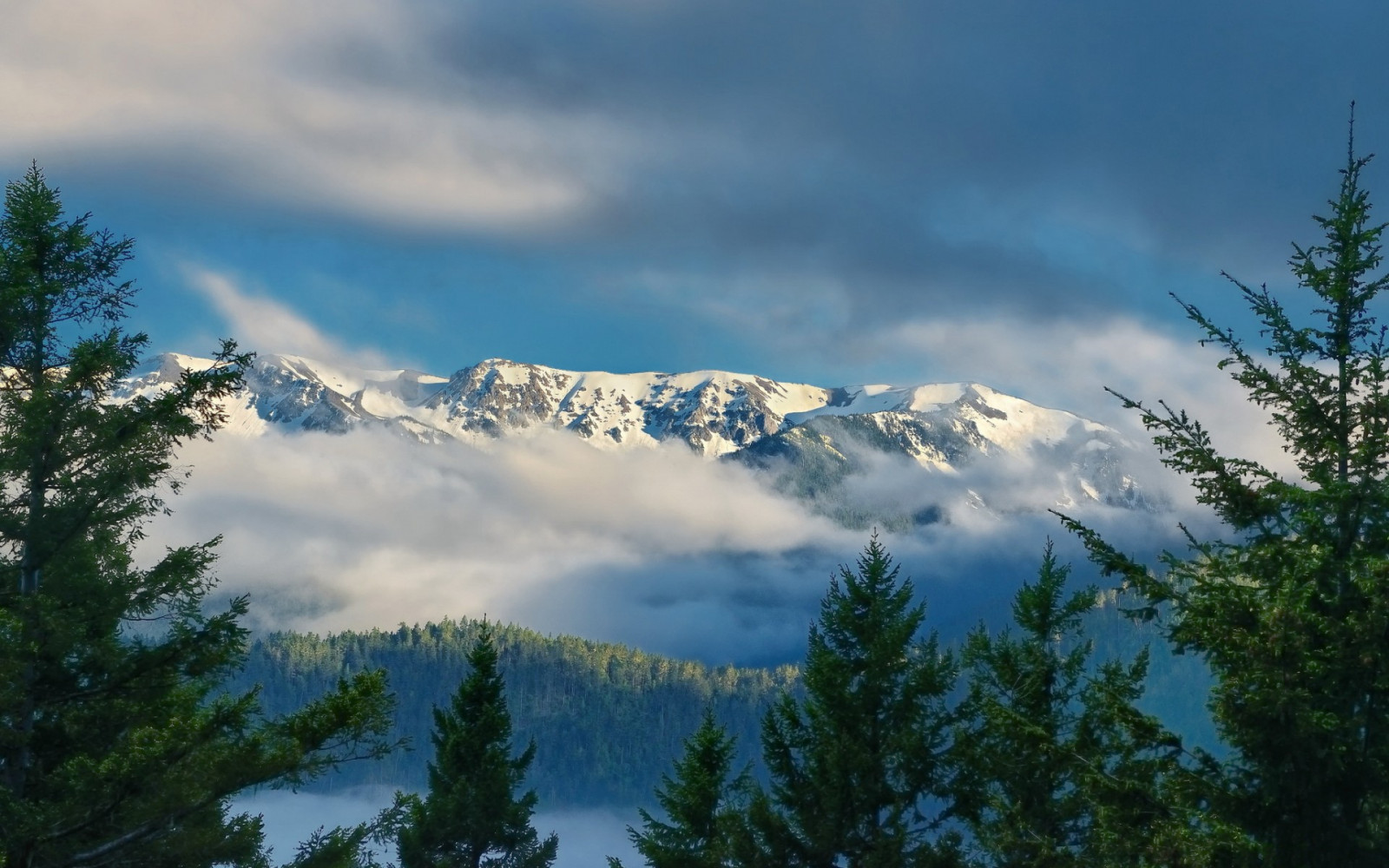 Sonnenlicht, Landschaft, Wald, Berge, Hügel, Natur, Himmel, Schnee, Morgen, Tal, Wildnis, Alpen, Plateau, Grat, Wolke, Baum, Berg, Wetter, Wiese, Lebensraum, Atmosphärisches Phänomen, Holzige Pflanze, Bergige landforms, Landform, geographische Eigenschaft, Ökosystem, Gebirge, Meteorologisches Phänomen