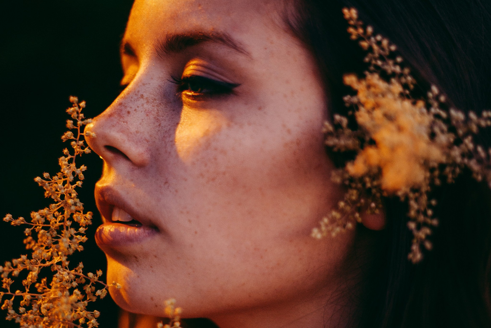 Gesicht, Frau, Modell-, Porträt, Blumen, Wegschauen, Brünette, Fotografie, Skye Thompson, Sommersprossen, Rubin James, Nase, Emotion, Person, Haut, Kopf, Farbe, Blume, Mädchen, Schönheit, Lächeln, Auge, Frau, Dame, Portraitfotografie, Nahansicht