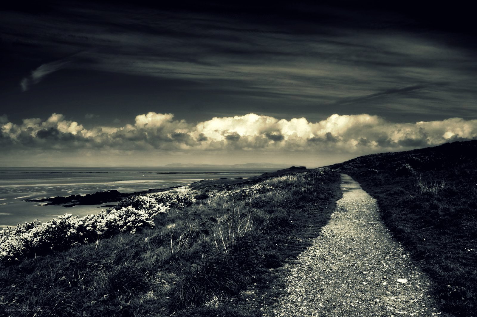 แสงแดด, แนวนอน, ขาวดำ, ทะเล, น้ำ, ฝั่ง, ท้องฟ้า, การถ่ายภาพ, เมฆ, เงียบสงบ, อังกฤษ, ตอนเย็น, เช้า, ชายฝั่ง, ขอบฟ้า, บรรยากาศ, เส้นทาง, สหราชอาณาจักร, ดำและขาว, เมฆ, ต้นไม้, รุ่งอรุณ, bw, มหาสมุทร, คลื่น, ความมืด, mywinners, gb, สหราชอาณาจักร, 50d, canon50d, andrewlee1967, andrewlee, วอลล์เปเปอร์คอมพิวเตอร์, ดำและขาว, ปรากฏการณ์ทางอุตุนิยมวิทยา, Heysham, stock photography