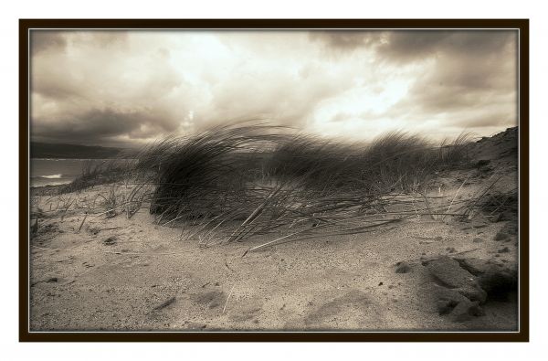 landscape,drawing,sea,sky,monochrome,sand