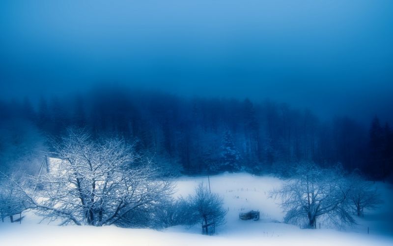 sunlight, landscape, nature, snow, winter, morning sunlight, landscape, nature, snow, winter, morning