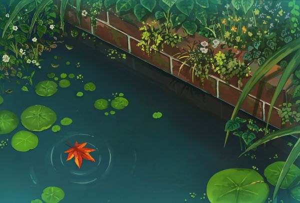 fall,garden,Japanese Garden,1600x1081 px,artwork