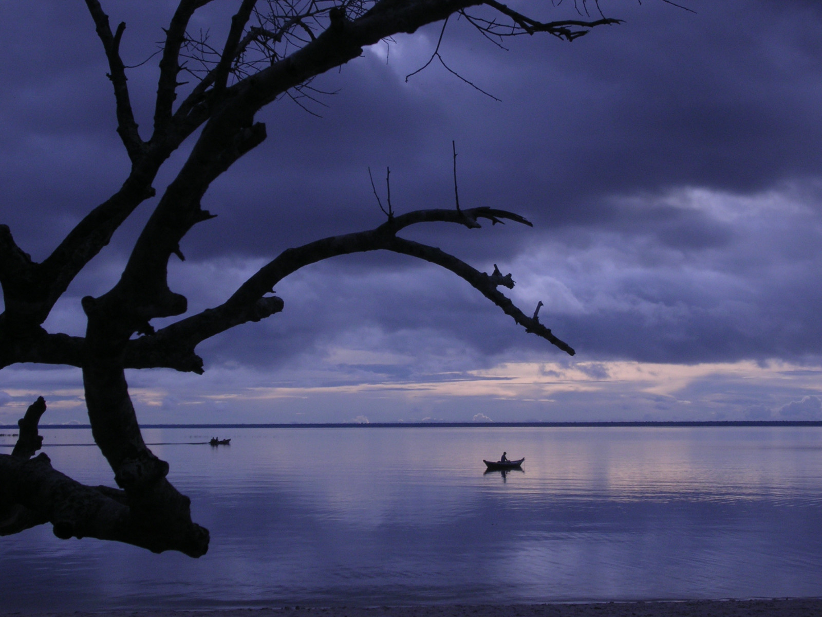 solnedgang, hav, sø, vand, natur, afspejling, himmel, silhuet, afdeling, solopgang, aften, morgen, måneskin, skumring, Brasilien, Tramonto, Sky, træ, daggry, mørke, abigfave, acqua, SOE, theunforgettablepictures, mywinners, impressedbeauty, superbmasterpiece, diamondclassphotographer, betterthangood, fineartphotos, megashot, natureoutpost, atmosfærisk fænomen, vedplante, alterdochao, byfrancescopizzitutti, lpblue