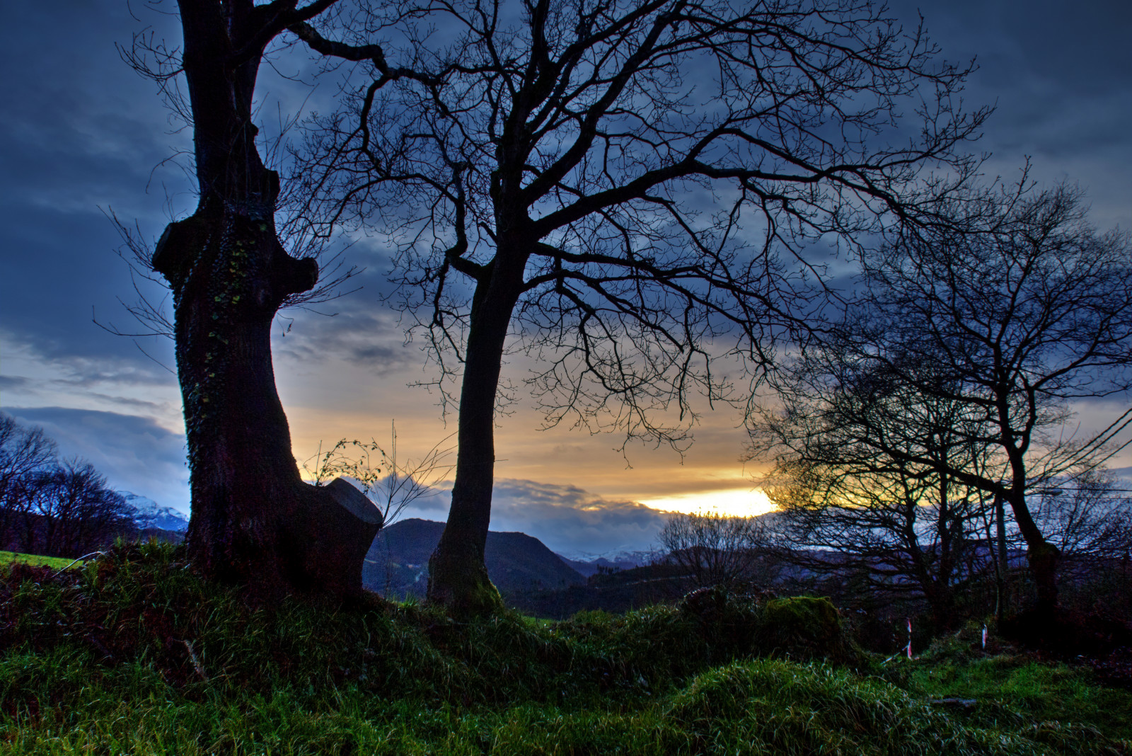 แสงแดด, ต้นไม้, แนวนอน, ป่า, พระอาทิตย์ตก, ธรรมชาติ, การสะท้อน, ท้องฟ้า, สาขา, พระอาทิตย์ขึ้น, ตอนเย็น, เช้า, พลบค่ำ, เบา, เมฆ, ต้นไม้, ฤดูใบไม้ร่วง, ดอกไม้, รุ่งอรุณ, ปลูก, nubes, Invierno, atardecer, Arboles, อาร์โบล, Asturias, ป่าไม้, ปรากฏการณ์บรรยากาศ, ไม้ยืนต้น, Nuboso