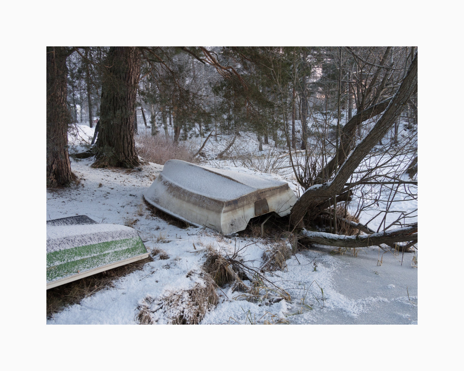 stromy, jezero, sníh, zima, dřevo, Švédsko, Sverige, strom, počasí, lodě, EM5, borovice, Vika, panasonic20mmf17, Dalarna, vikasj n, Falun