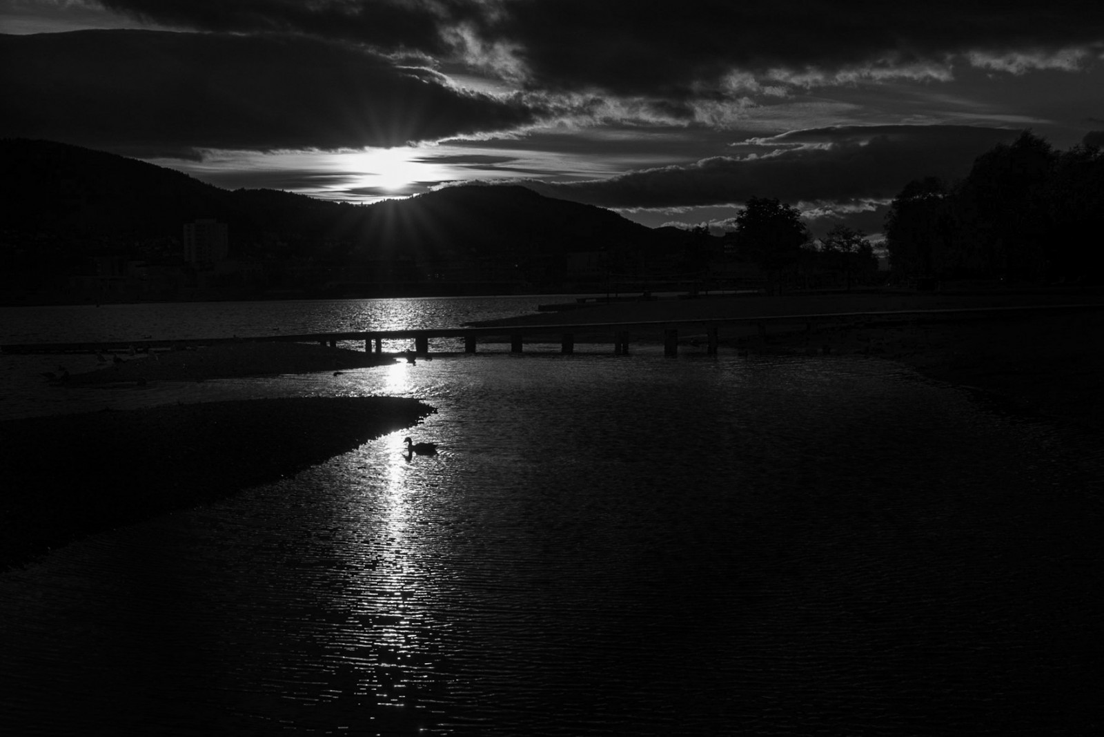 západ slunce, městský, pták, Příroda, černobílý, zvíře, Norsko, řeka, labuť, flickr, zveřejněno, G, Facebook, Dramatu, urbex, Buskerud, otherkeywords