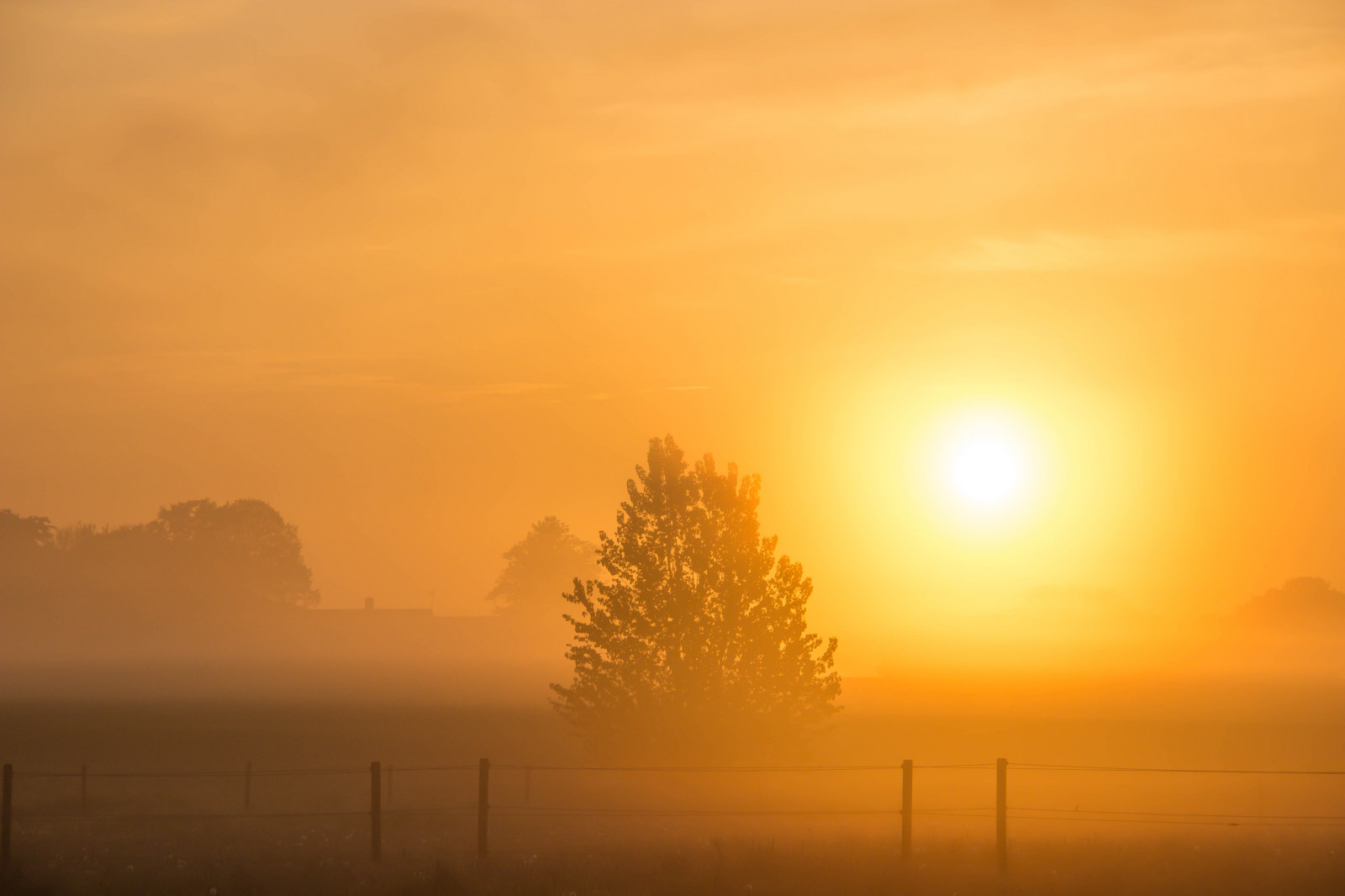 sunlight, landscape, sunset, sky, field, sunrise, calm, evening, morning, mist, Sun, horizon, atmosphere, haze, tree, fog, dawn, goldenhour, dimma, countryside, landsbygd, landskap, gryning, camera make canon, geolocation, exif lens efs18200mmf3556is, exif make canon, exif isospeed 100, exif focallength 100mm, exif aperture 10, gyllenetimmen, camera model canoneos100d, exif model canoneos100d, markdimma, soderslatt, plain, daytime, computer wallpaper, atmosphere of earth, afterglow, red sky at morning, ecoregion, soluppgang