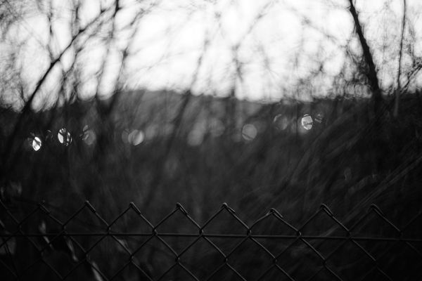 bw, stefankamert, Leica, leitz, summitar, noir
