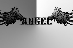 デスクトップ壁紙 図 ロゴ 頭蓋骨 鷲 エアロスミス 翼 黒と白 モノクロ写真 フォント 19x1080 Raindrop デスクトップ壁紙 Wallhere