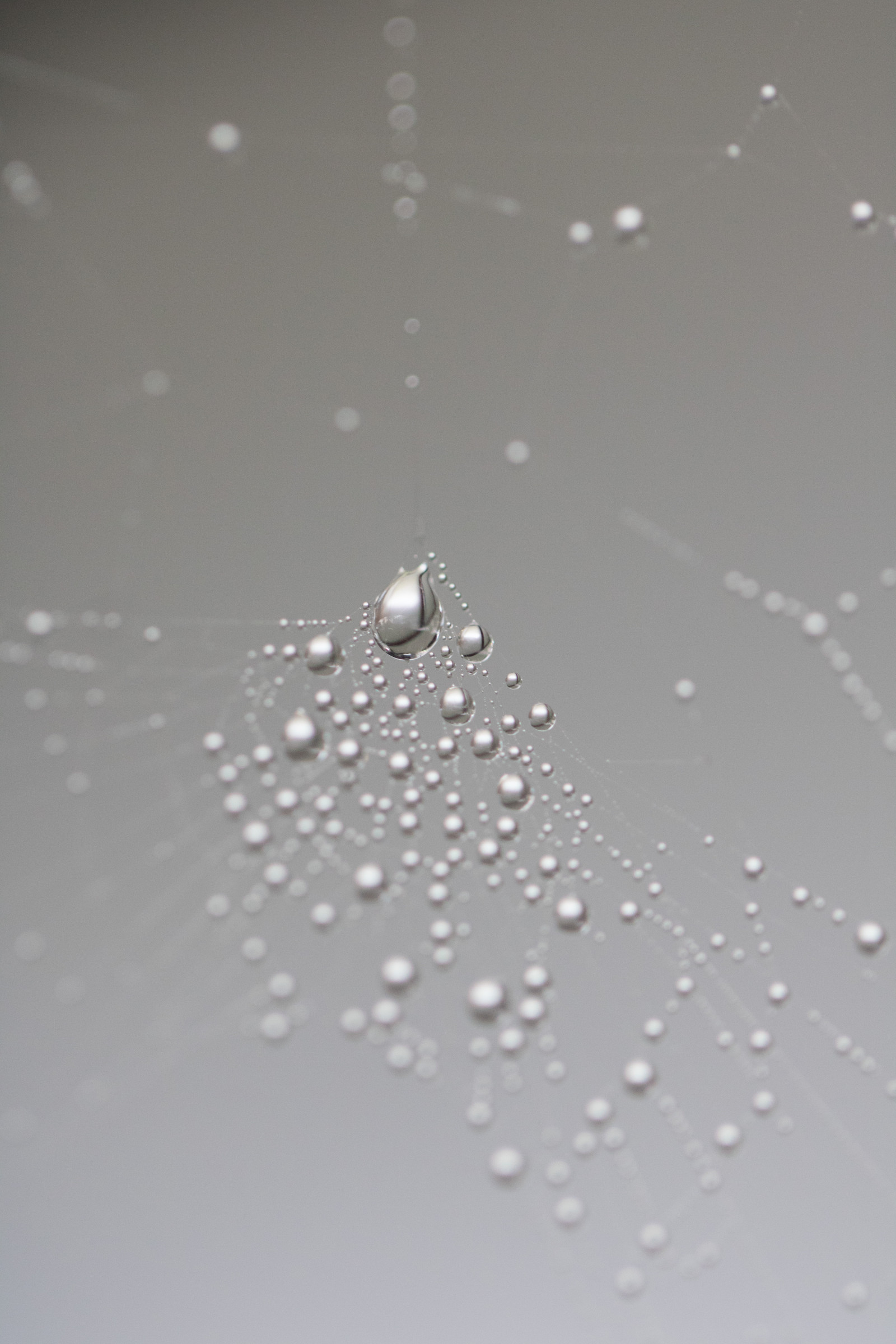 Water Dew Pattern Wallpaper : water, nature, reflection, pattern, dew, Freezing, drop ...