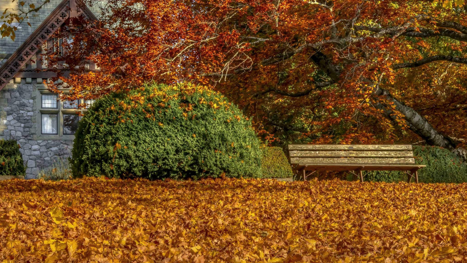 Wallpaper : fall, leaves, bench 2048x1154 - WallpaperManiac - 1196881