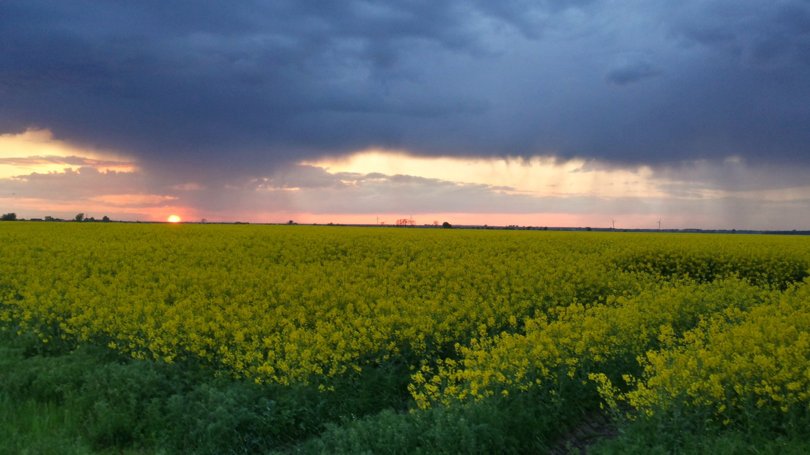 bouřka, žlutý, mraky, Samsung, galaxie, s4, luckyorgood