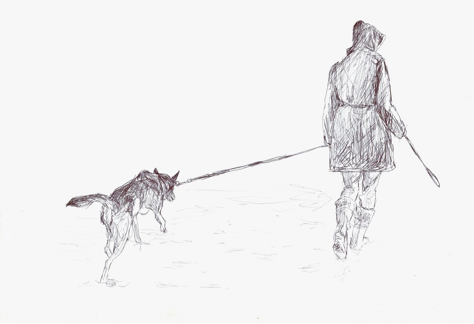 výkres, ilustrace, sníh, zima, kresba tužkou, kreslená pohádka, Pes, Pero, Kasia, vánice, d, skica, 65, kostýmy, bic, postava výkres, módní ilustrační, na prodej, bicpen, mlewandowski, Kamo, 9x12