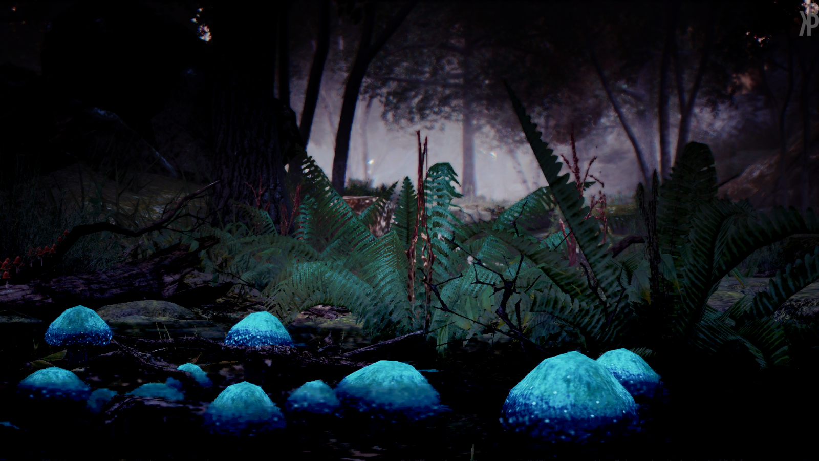 Wallpaper hutan, Video game, malam, hitam Desert, gua, kegelapan