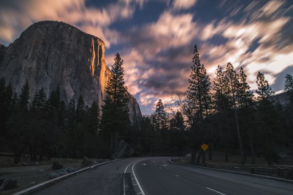 trees,Turn,rocks