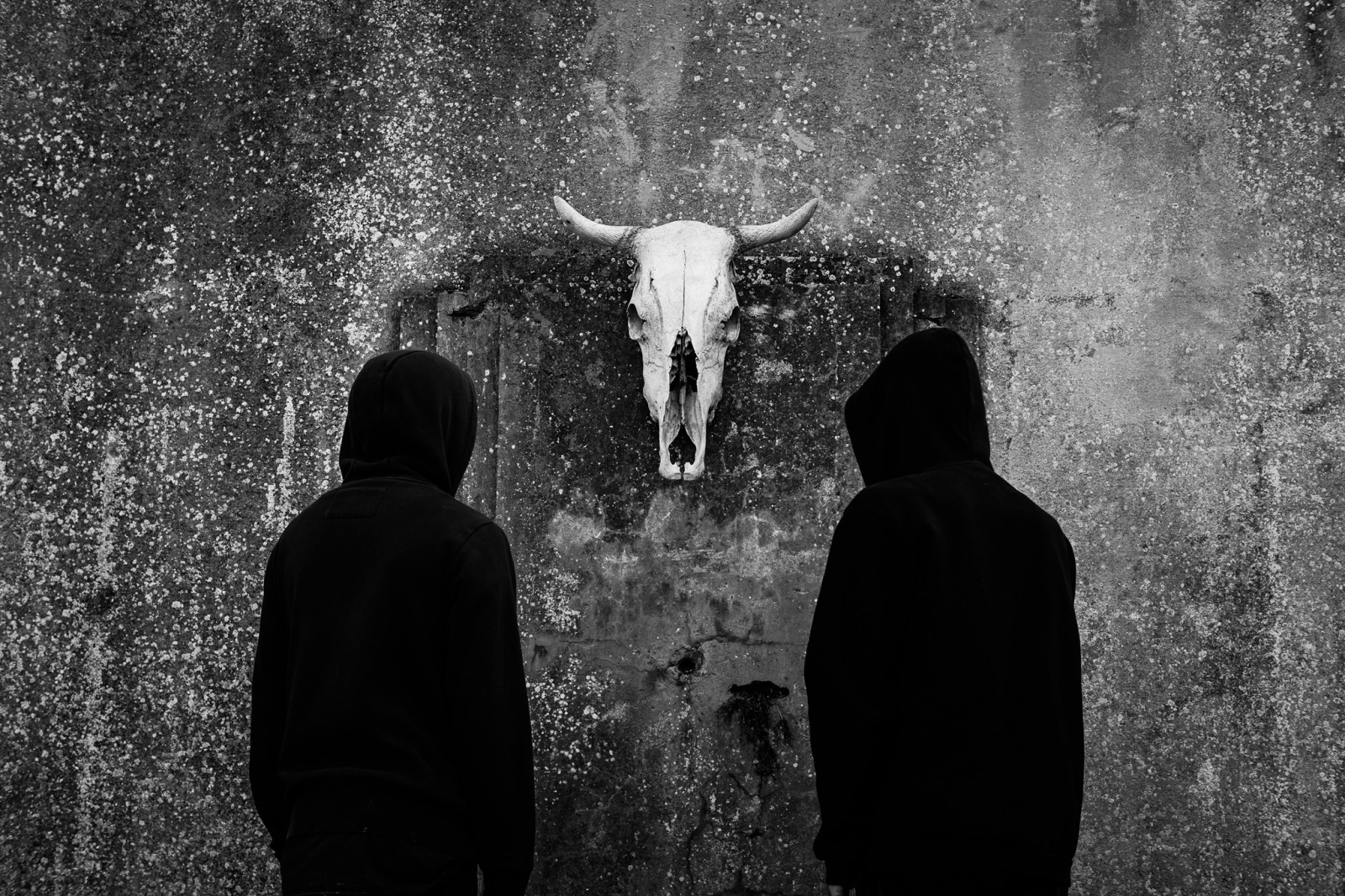 alberi, bianca, nero, monocromo, ritratto, buio, notte, raccapricciante, acqua, natura, cielo, ombra, fotografia, Canone, ossatura, cranio, atmosfera, morte, indietro, Gotico, inferno, bokeh, satanico, emotivo, Mistero, misterioso, disturbato, fd, Mono, leggero, bianco e nero, albero, f28, montagna, bw, monocromatico, nero bianco, Italia, negro, fotografia, oscurità, 24 millimetri, belle Arti, ritratti, ritratti, bianco, ritratto, nero, natura, strano, sardegna, surrealismo, blanco, blancoynegro, istantanea, manualfocus, viso, Faccia, bn, Volto, sonya6000, sfondo del computer, bianco e nero, fotografia in bianco e nero, vintagelens, bianconero, fenomeno, suggestivo, sporcizia, ilce6000, disturbia, post-apocalittico, FDN, fahc, manualfocuslens, dannato, CVLT, culto, zhongyimitakonturboiifocalreducerbooster, canon2828, stock photography