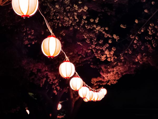 sky,lighting,light,darkness,night,light fixture