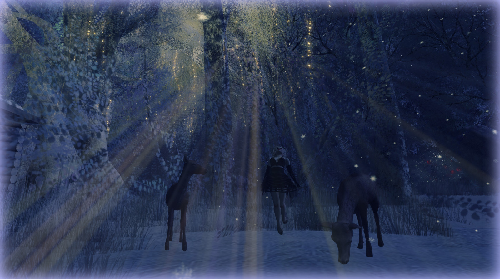 Příroda, zmrazení, zima, sníh, strom, světlo, atmosféra, nebe, jev, led, tma, mráz, voda, počítač tapeta, Snímek obrazovky, noc