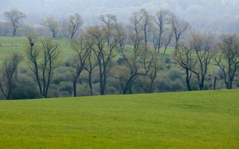 slunečnímu záření, stromy, krajina, les, kopec, Příroda slunečnímu záření, stromy, krajina, les, kopec, Příroda