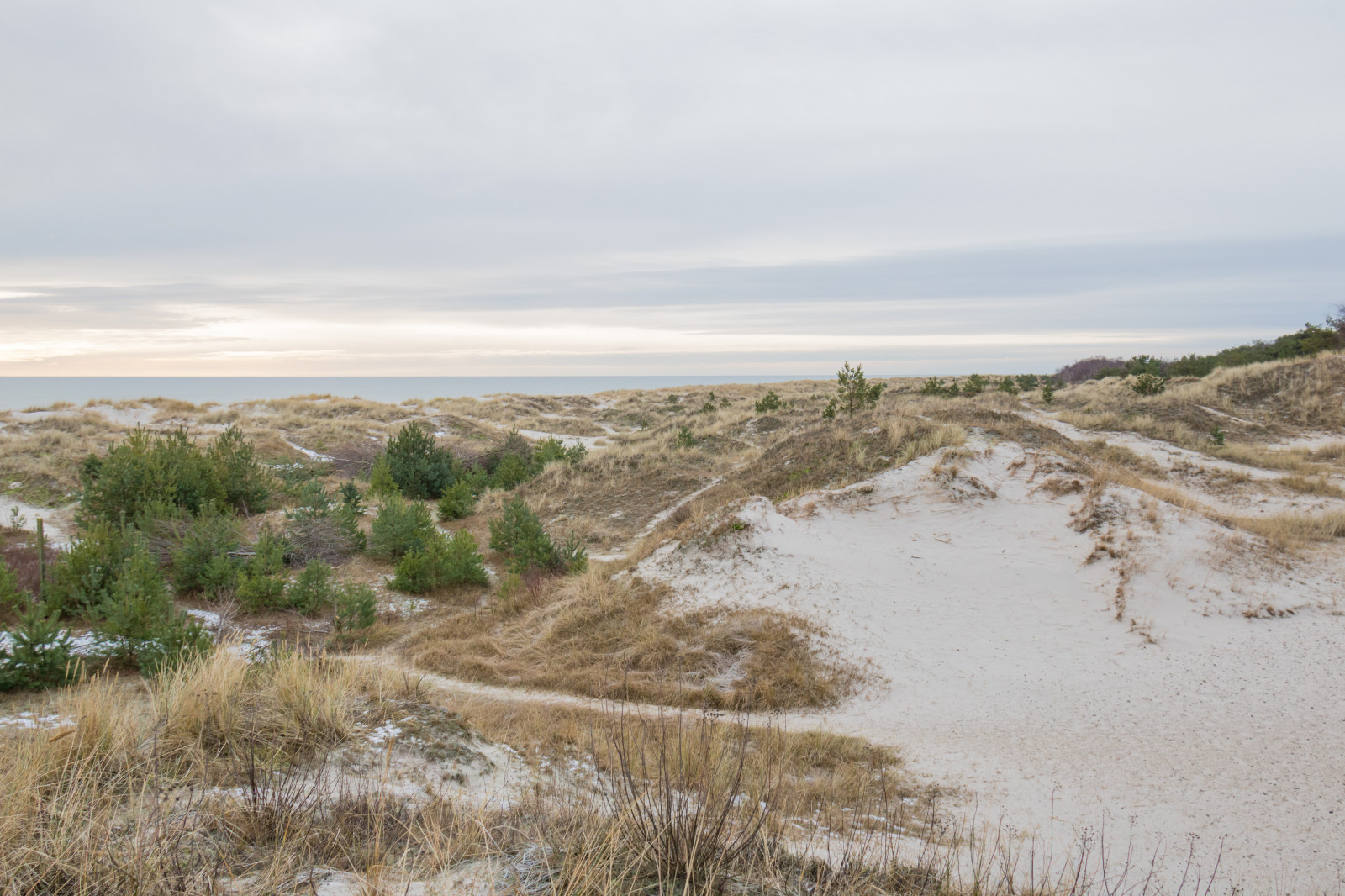 paesaggio, mare, puntellare, sabbia, inverno, spiaggia, costa, duna, altopiano, steppa, zone umide, Terreno, filo, Vinter, HAV, Sterlen, Materiale, kust, Sandhammar, palude, geologia, habitat, ambiente naturale, landform, caratteristica geografica, ecosistema, calanchi, landform Eolie