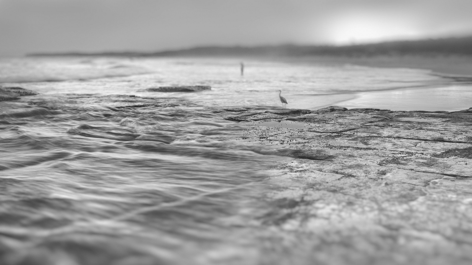 hav, vand, sort og hvid, bølge, ocean, kyst, monokrom fotografering, horisont, vind-bølge, himmel, fotografering, berolige, monokrom, atmosfære, coastal and oceanic landforms, kyst, tidevand, Sky