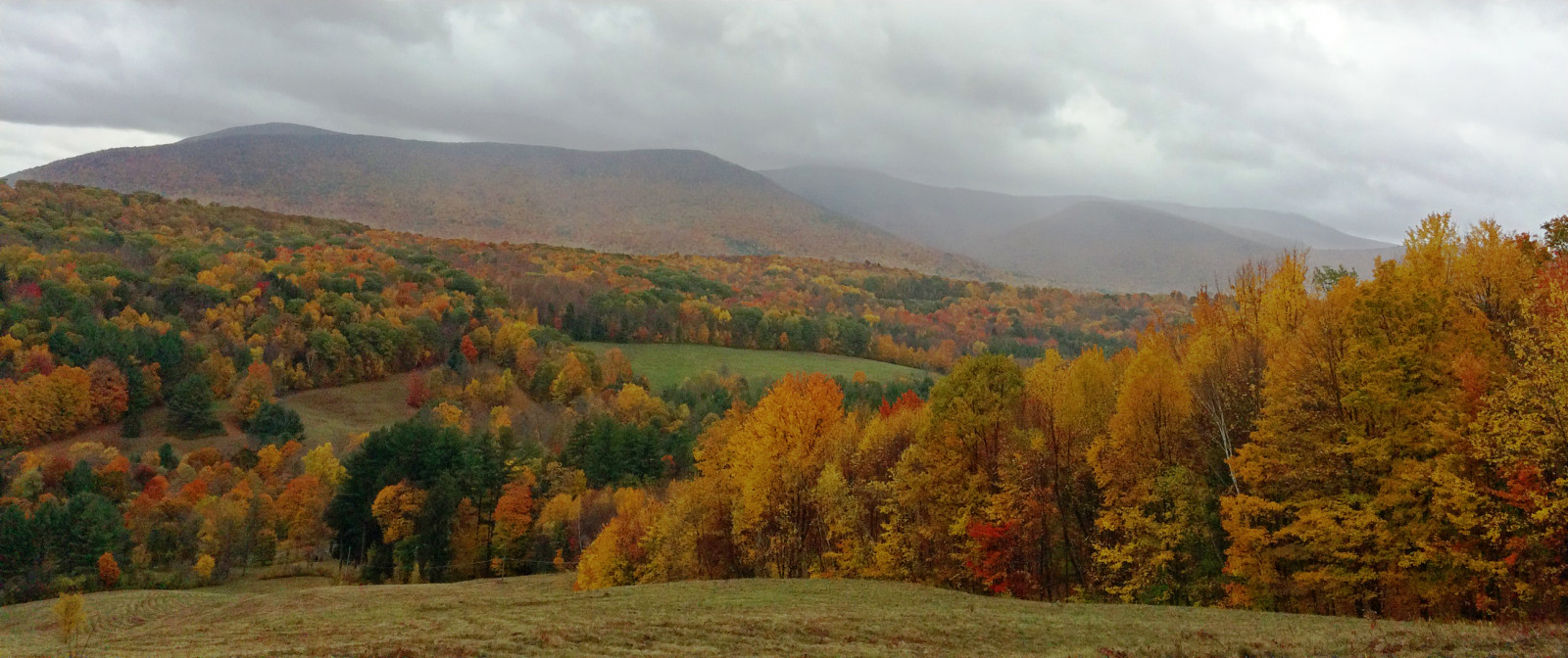 les, podzim, listy, kopec, jízdní kolo, údolí, divočina, olistění, plošina, Massachusetts, pastorální, hřbet, strom, podzim, list, hora, pano, sezóna, estetický, kolo, louka, zálesí, atmosférický jev, ekosystém, mírné jehličnatý les, smíšený les, zanechat, opustit, Berkshire, Williamstown, Greylock, mtgreylock, sheephill