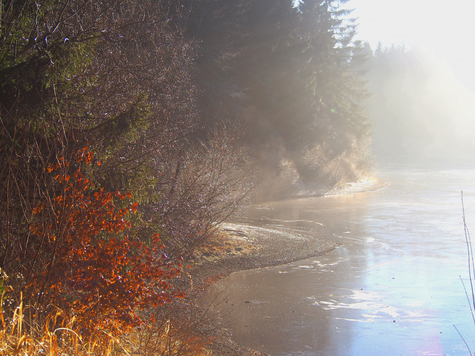vidět, jezero, rybník, voda, zima, podzim, Herbst, Wald, Harz, Oberharz, stromy, strom, baum, Baume, eis, ledový, led, slunce, syn, slunečnímu záření