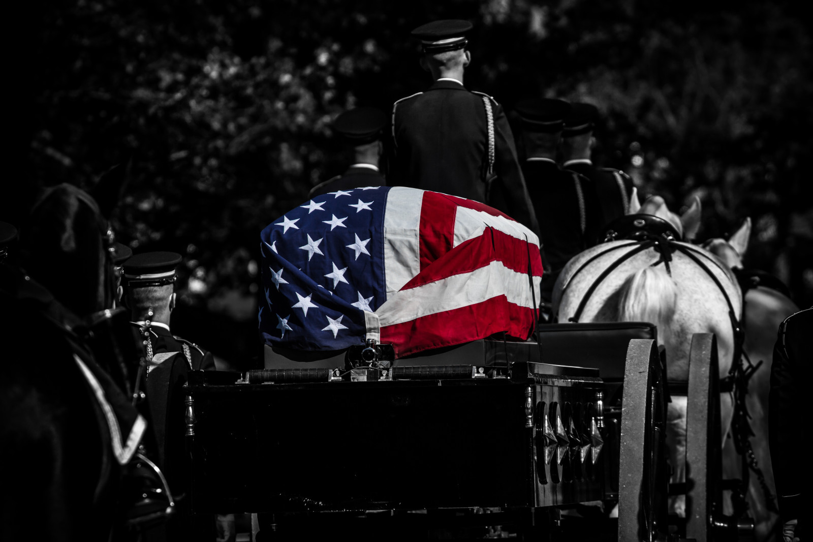 parkere, blå, rød, mennesker, sort og hvid, bw, hvid, detalje, monument, monokrom, arlington, Canon, landskab, død, soldat, hær, død, Virginia, Washington DC, Nationalpark, districtofcolumbia, marine, landskab, krig, uniform, Forenede Stater, respekt, begravet, udendørs, flag, militær, familier, sejlere, highcontrast, ære, Begravelse, soldater, service, krigere, marinesoldater, arlingtonnationalcemetery, veteran, gravstene, DMV, vignet, veteraner, ritualer, bevæbnede styrker, ensartethed, enhed, selectivecolor, individer, flyvere, colorisolation, burialsites, colorselection, selflessservice, hovedstadsområde, militaryburial, warfighters, canon5dmarkiii, dmvarea, lightroom5