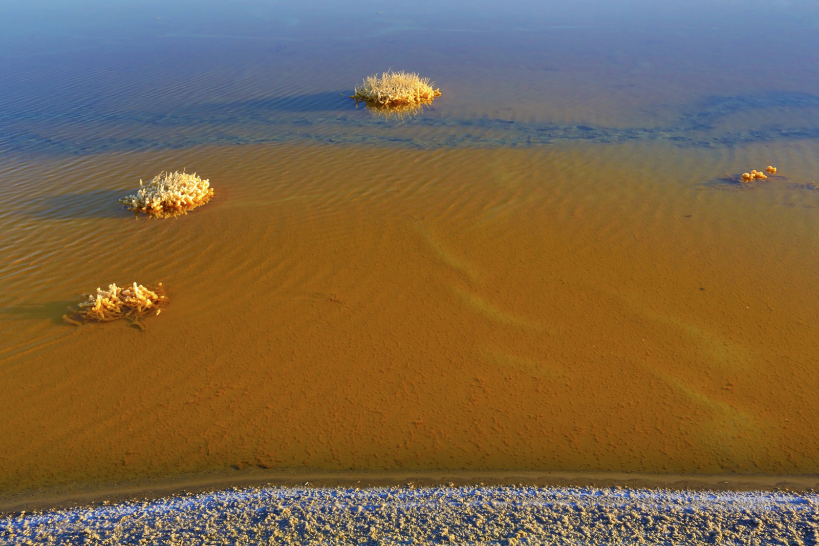 Himmel, Morgen, Sand, Ecoregion, Horizont, Landschaft, Sonnenlicht, Luftaufnahmen, ruhig, Meer, Aeolische landform, Düne, Erg, Grasfamilie