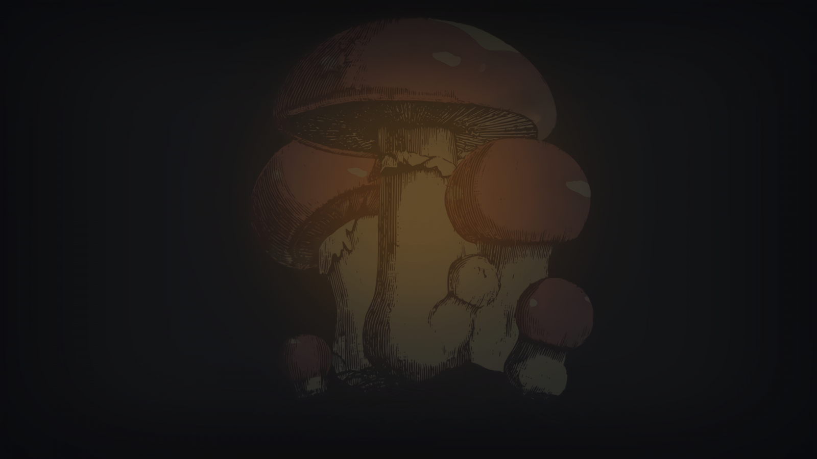 Wallpaper : mushroom, minimalism, artwork, dark 1920x1080 - rafagamers1